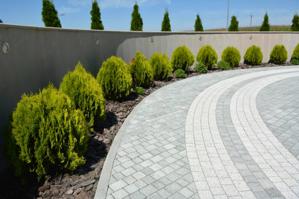 Best Driveway Pavers Near Me  in Rock Falls, IL